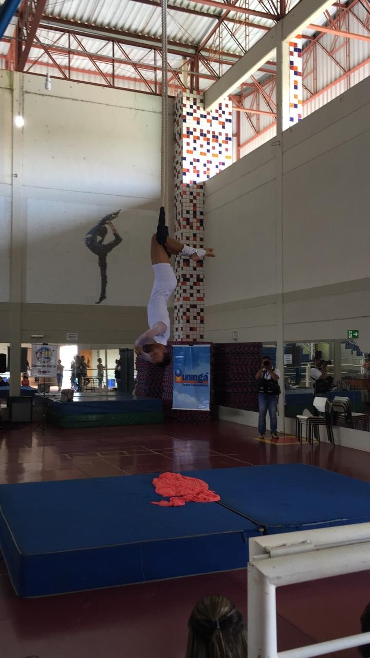 Do picadeiro à universidade