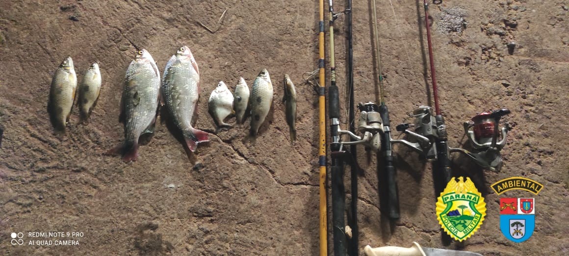 Polícia prende 5 pessoas por pesca ilegal de espécies nativas no período da piracema