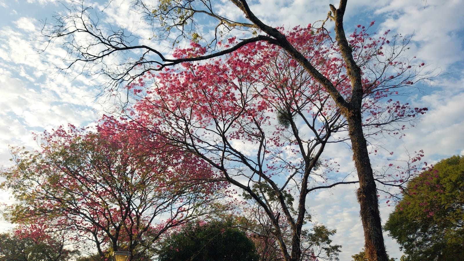Confira a previsão do tempo para este sábado (6)