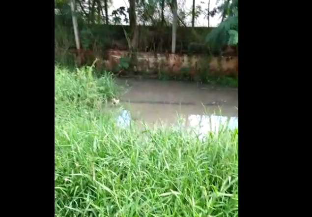 Ouvinte reclama de água suja em unidade de elevação de esgoto em Sarandi