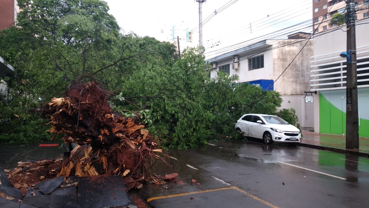 Temporal rápido e forte atinge Maringá e deixa estragos