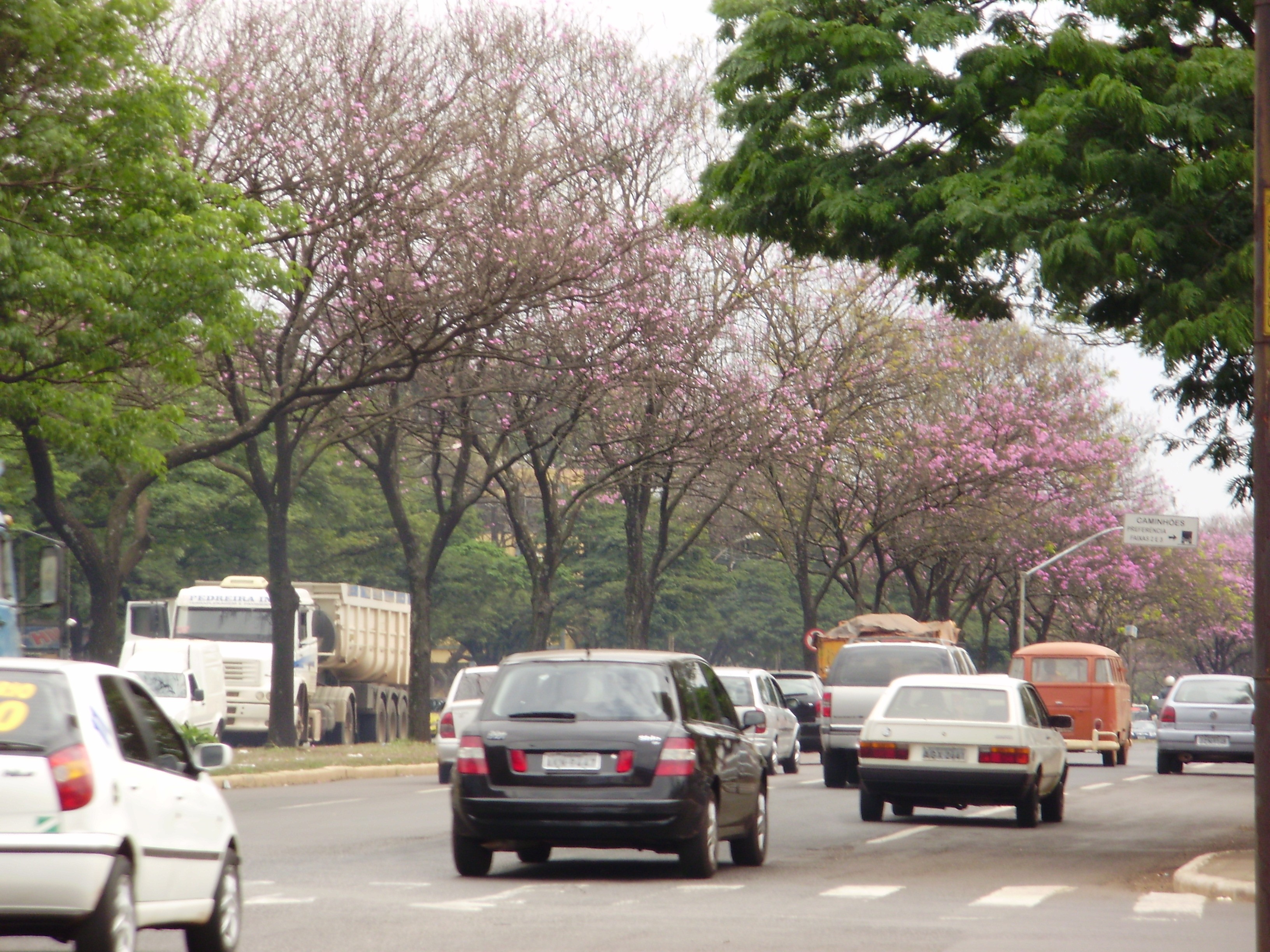 Durante tarde violenta duas pessoas morrem no trânsito de Maringá