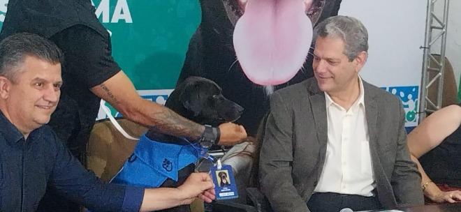 Bem-Estar Animal cria novos cargos para cães servidores