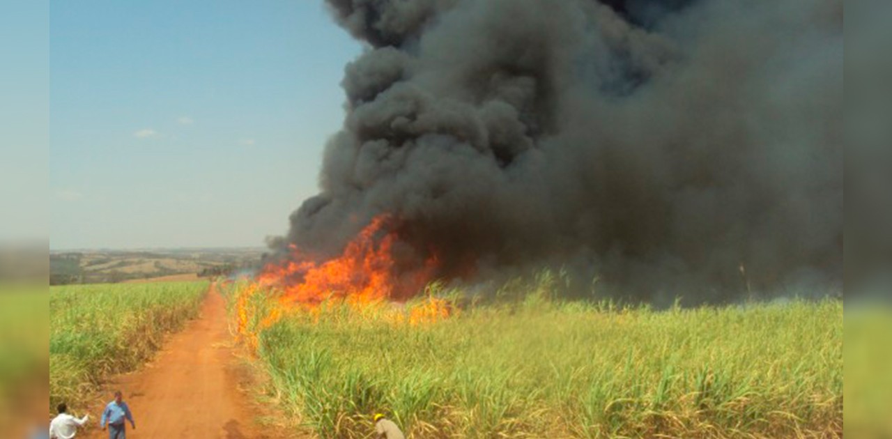 Campanha contra incêndios criminosos oferece recompensa em troca de informação