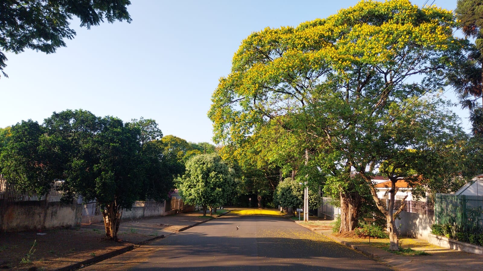 Temperatura pode chegar a 33ºC neste domingo (29) em Maringá