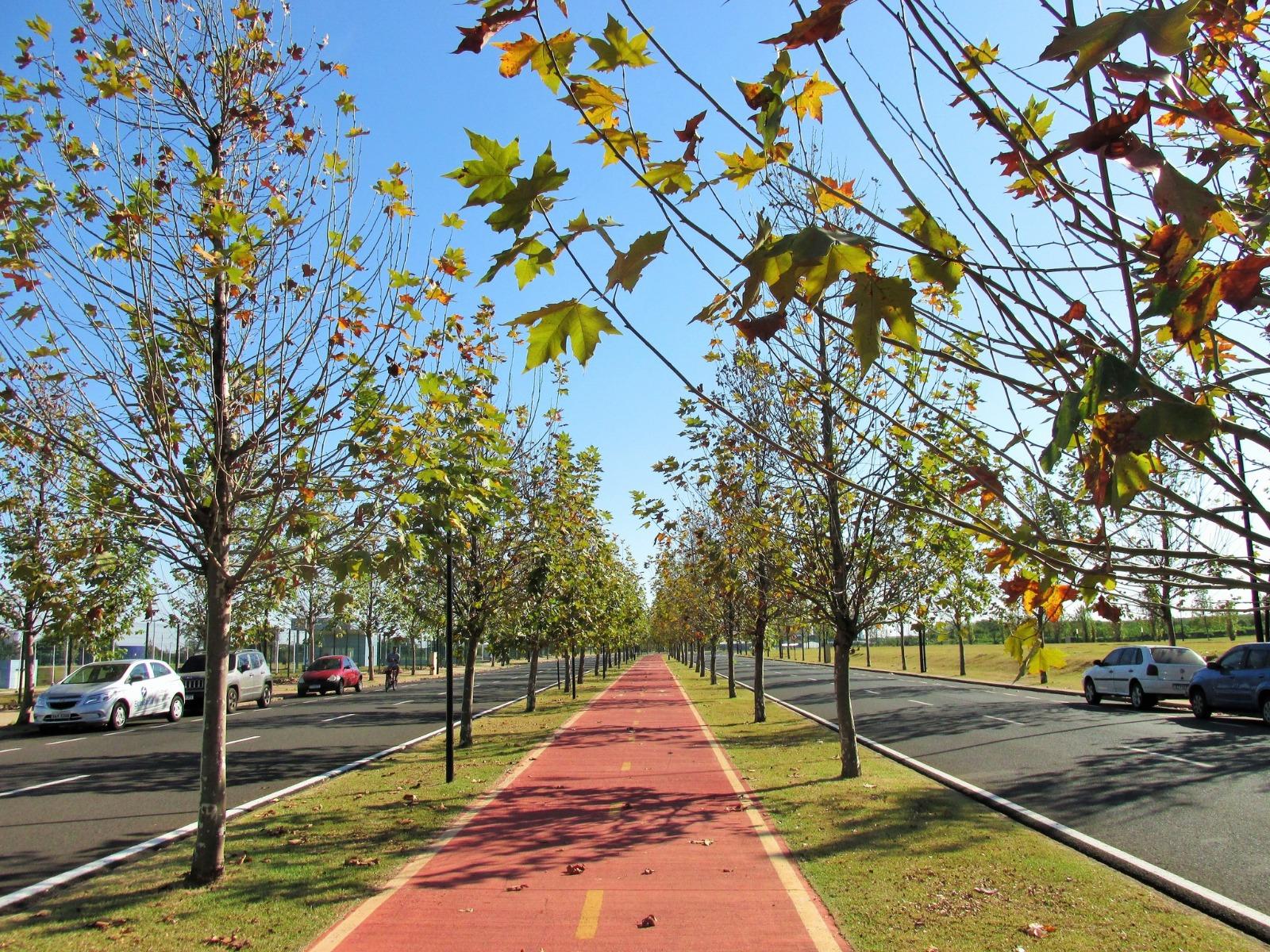 Quinta-feira (20) será de tempo firme e ensolarado em Maringá; veja previsão