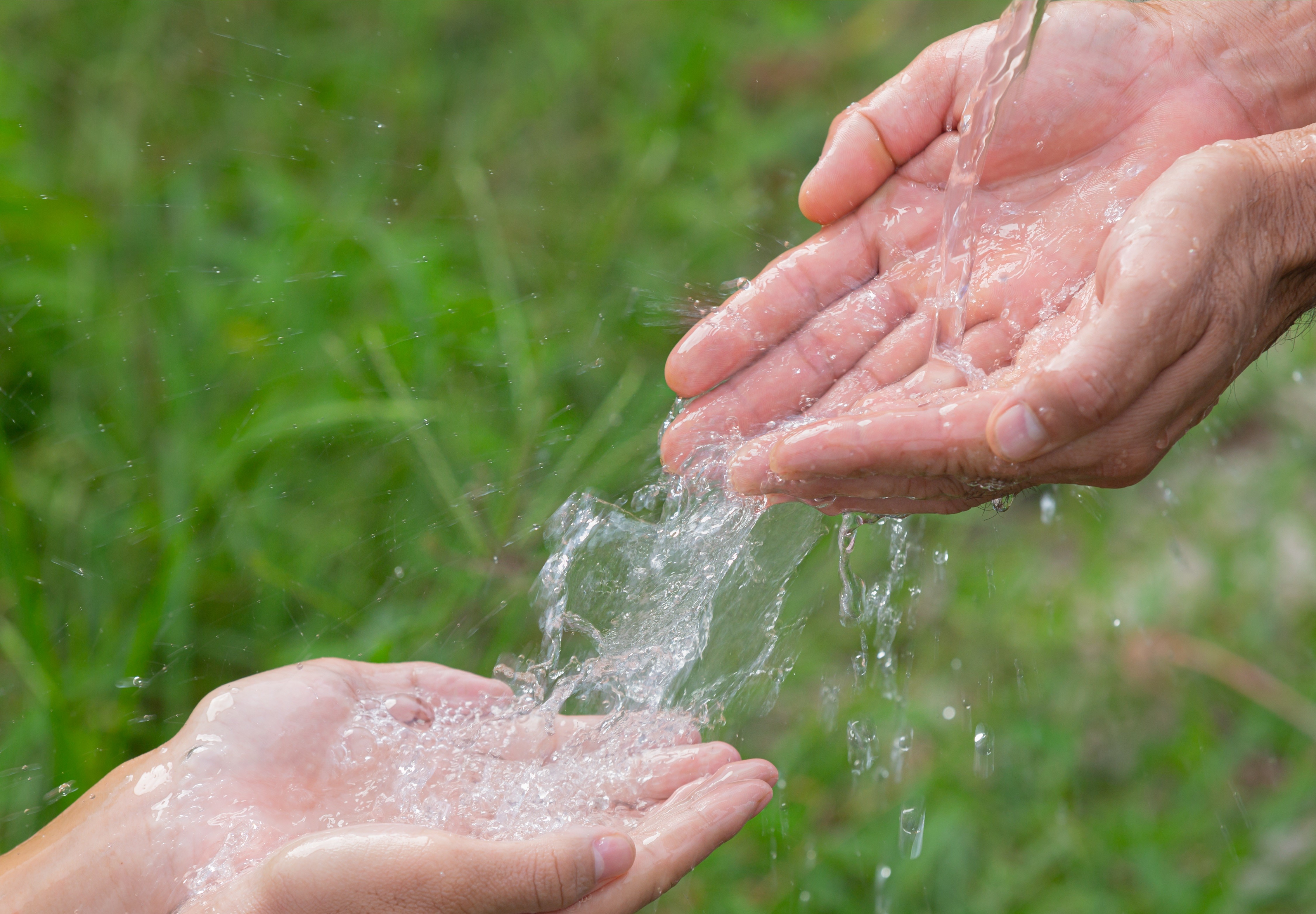 Projeto Água Limpa é a meta de preservar nascentes na região de Maringá