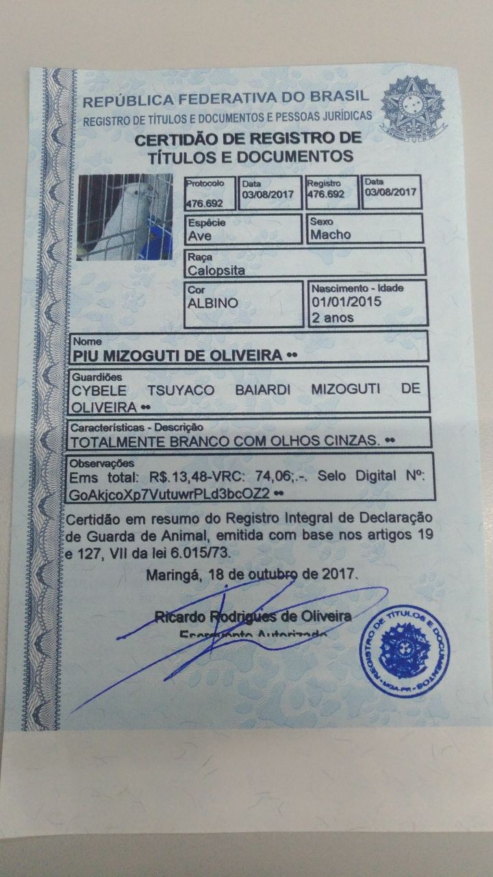 Maringá já tem 21 animais de estimação com registros em cartório