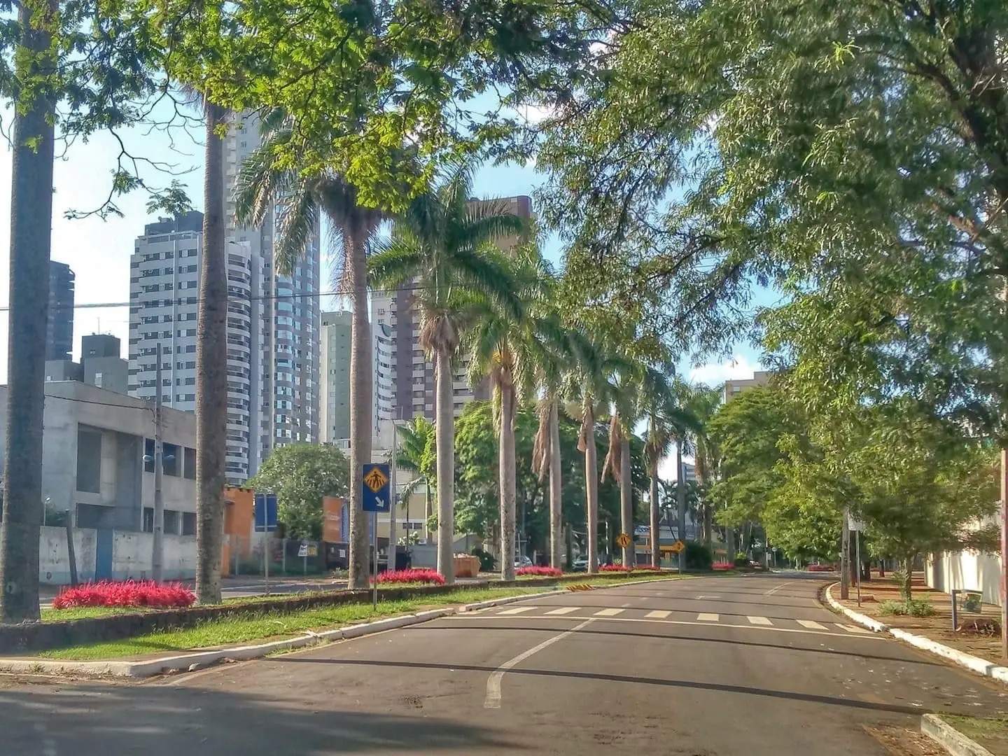 Em Maringá, tempo volta a ficar firme e máxima chega aos 32°C nesta sexta-feira