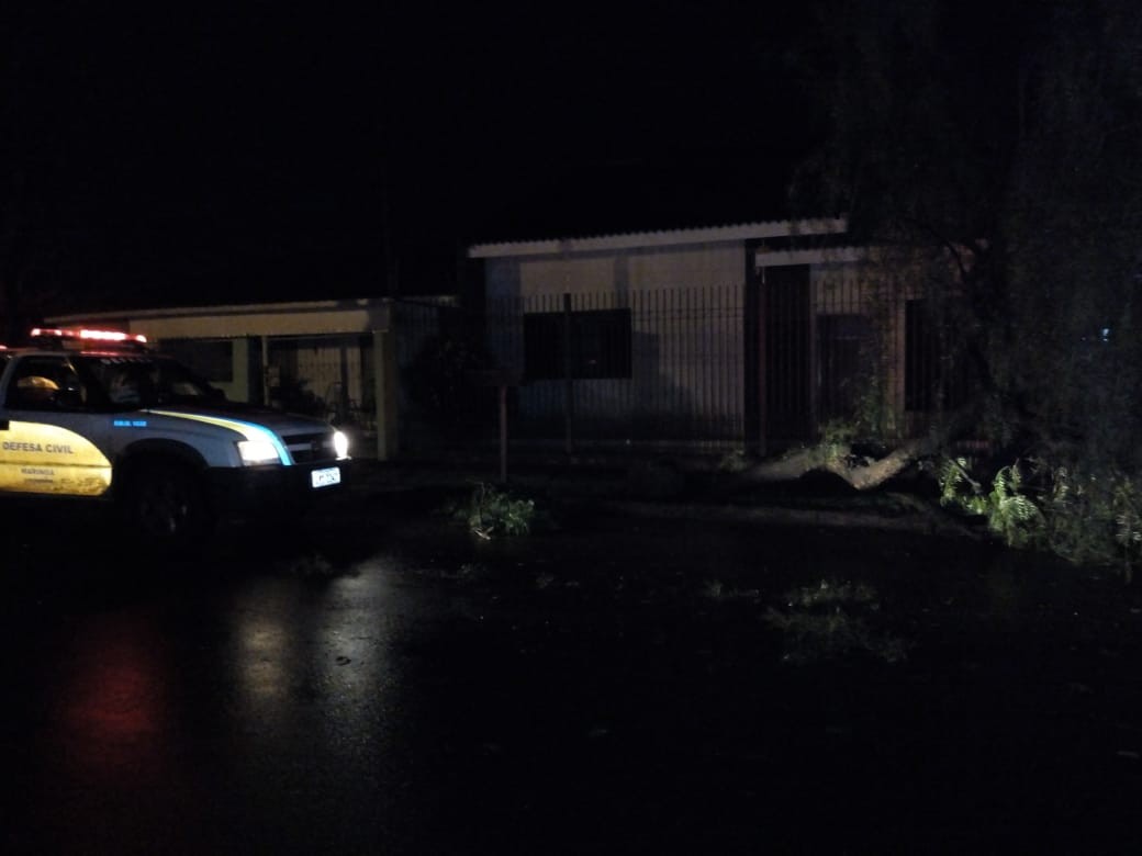 Chuva derruba 90 árvores e deixa 10 mil sem energia