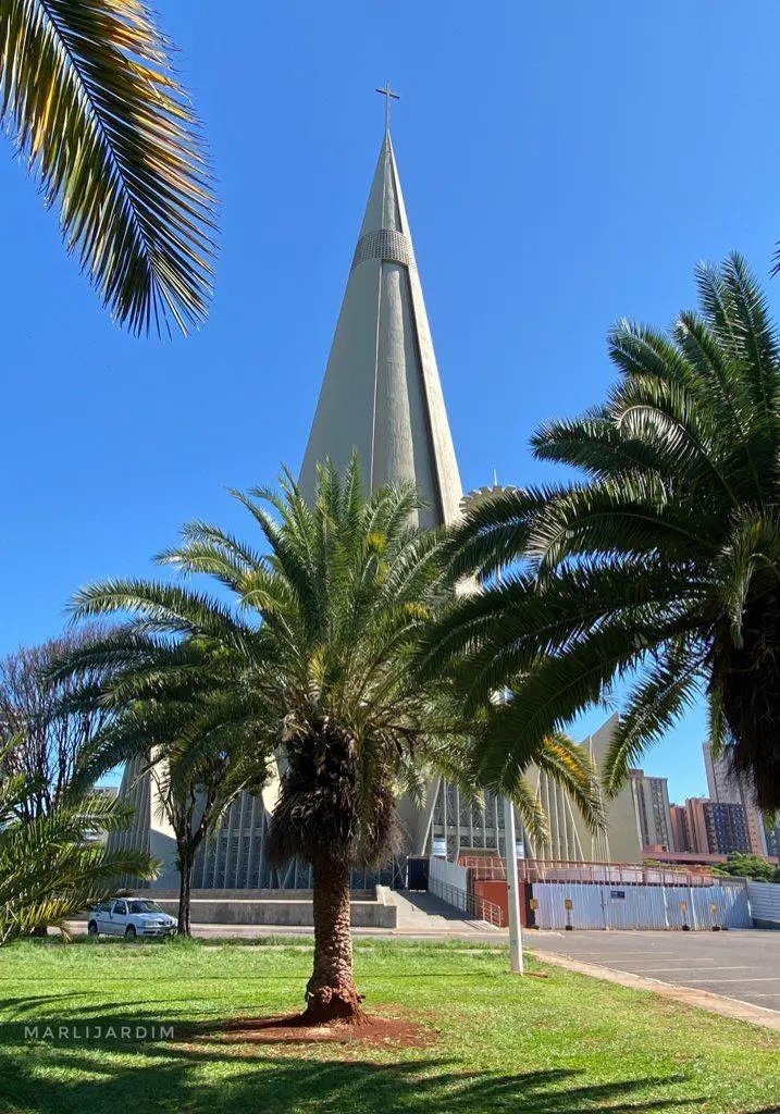 Veja como fica o tempo em Maringá neste feriado (21)