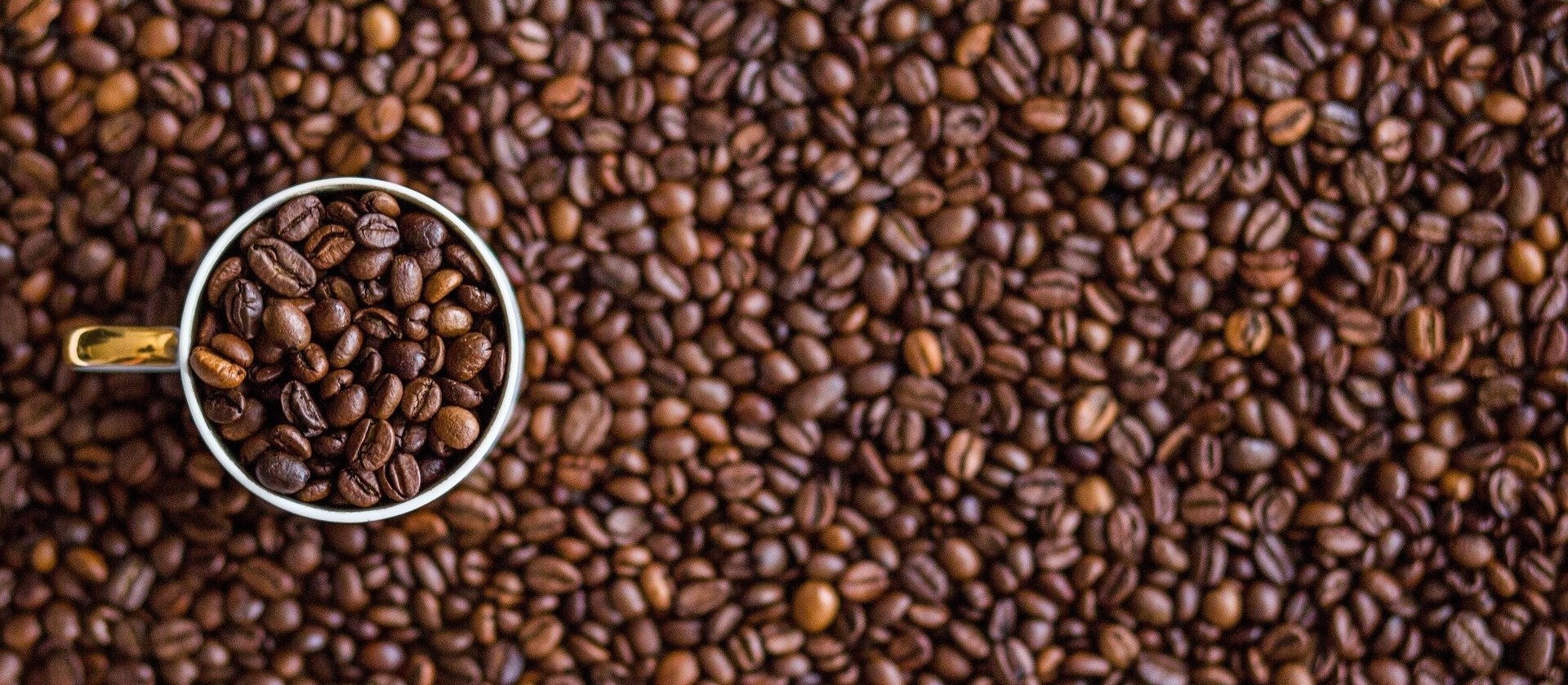 Café em coco custa R$ 7,60 Kg