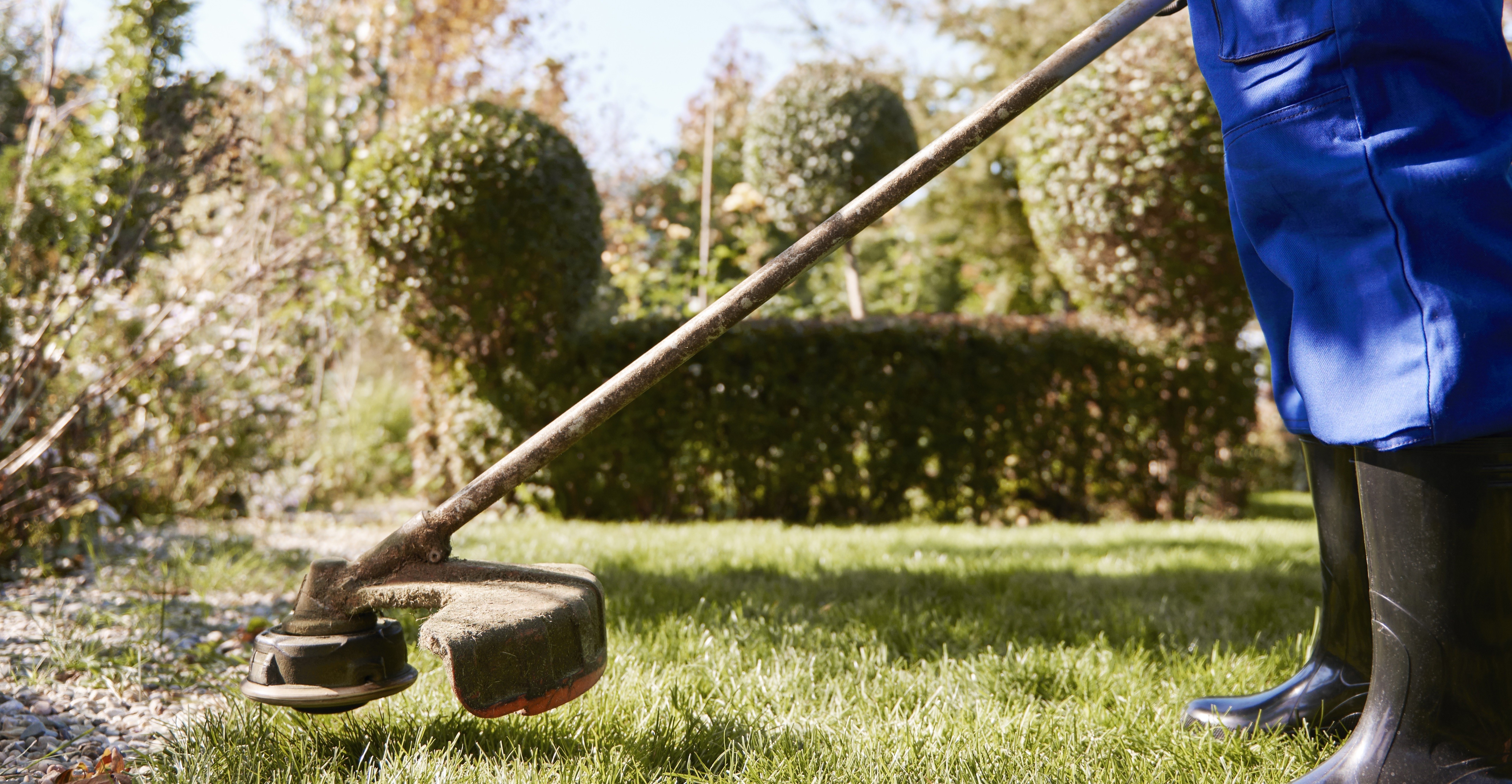 Saiba como será a cobrança da taxa de roçada em Maringá