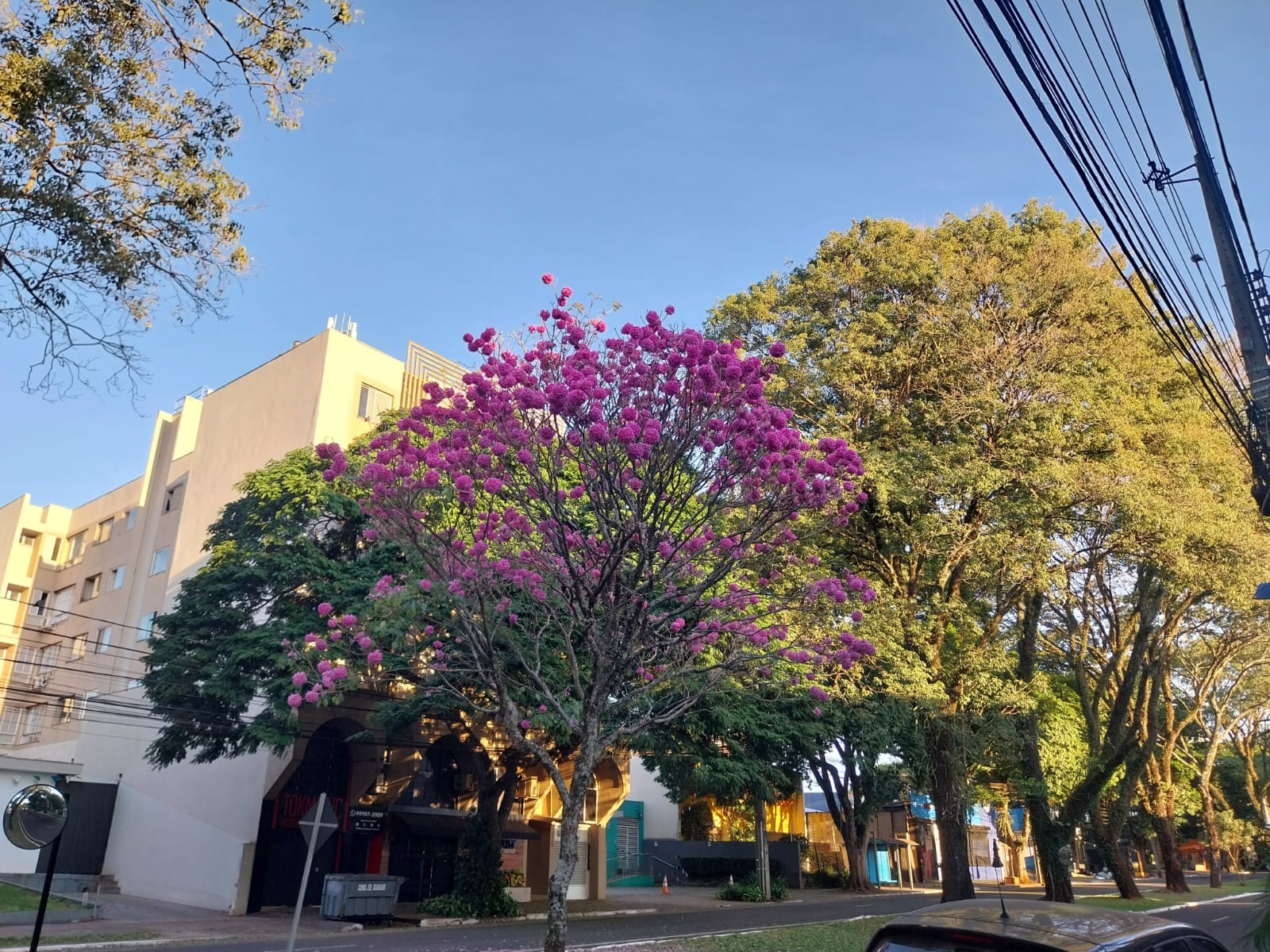 Confira a previsão do tempo para este domingo (16)