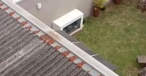 Mulher é suspeita de agredir filho autista, em Ponta Grossa