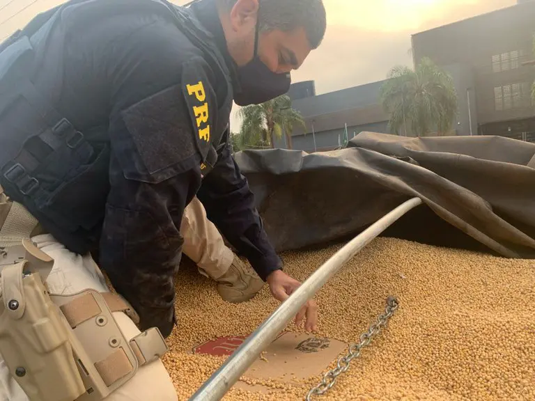 450 mil maços de cigarros que viriam para Maringá são apreendidos pela PRF