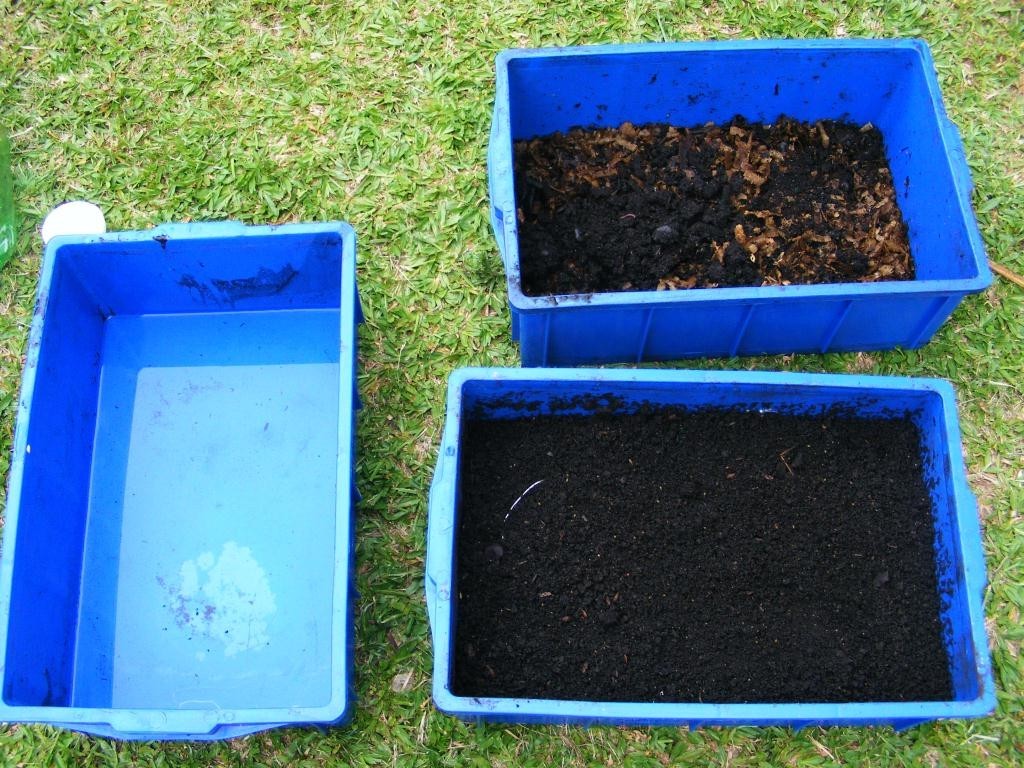 Minhocário é uma prática usada pelo Projeto Escola Sustentável