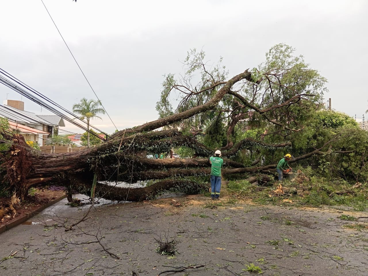 Temporal atinge Campo Mourão e deixa estragos