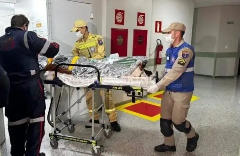 Morre no hospital homem que foi baleado por casal