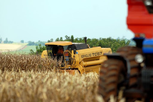 Com bom aspecto, lavouras devem confirmar as estimativas de produção