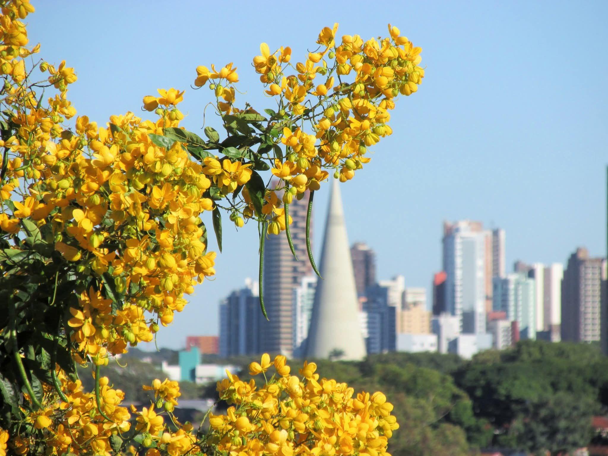 Confira a previsão do tempo em Maringá e no Paraná nesta quarta (4)