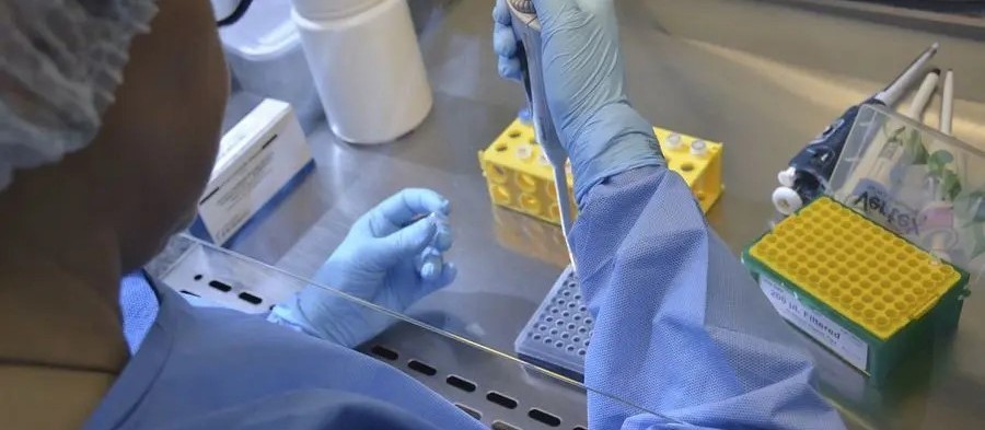 Confira o boletim atualizado com os dados da Covid-19  desta terça-feira (31) em Maringá