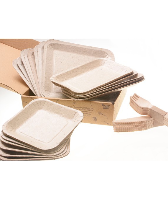 Empresa desenvolve pratos de papel que podem ser plantados após o uso