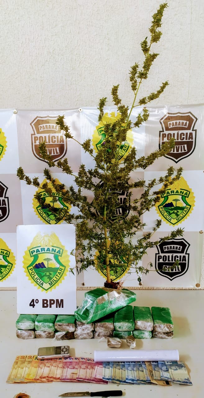 Oito pessoas são presas por tráfico de drogas em Maringá e Sarandi.