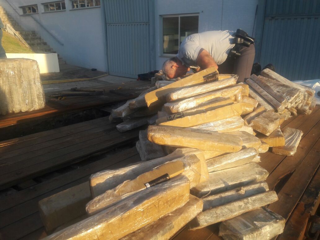 Denarc de Maringá monitora caminhão e apreende 500 kg de maconha