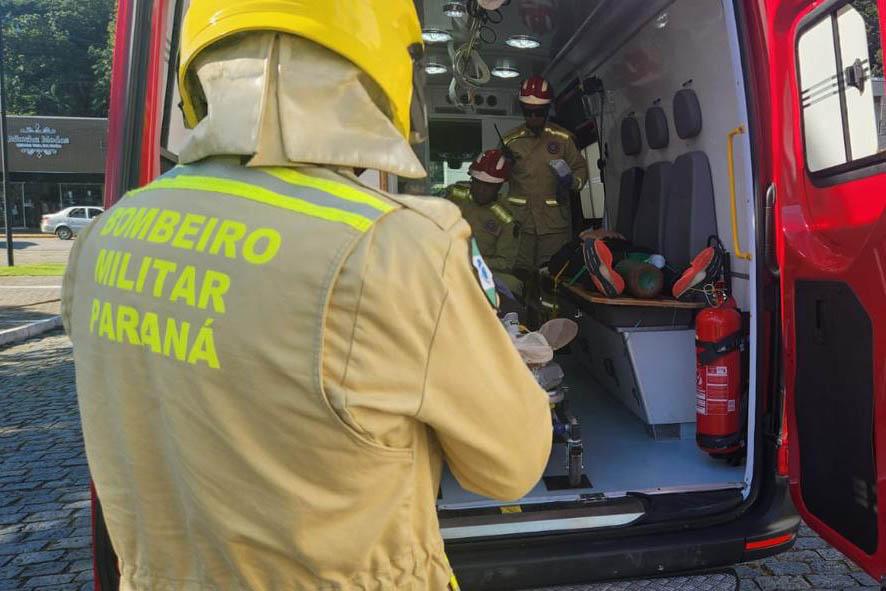 Quase 300 ataques de cães são registrados no Paraná em 2025