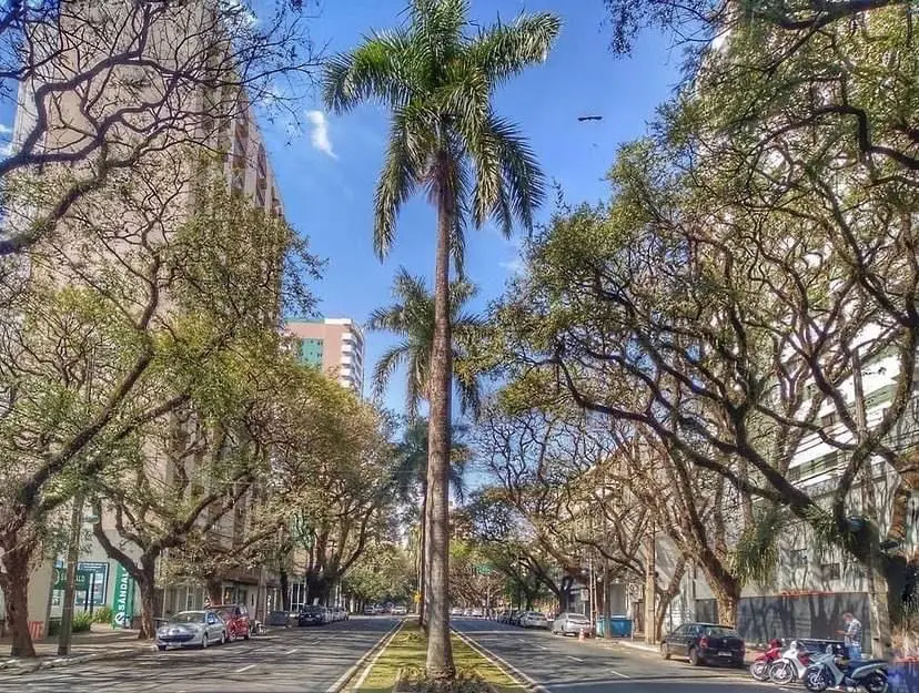 Maringá: Tempo abafado e calor intenso nesta quarta-feira, com máxima de 36°C