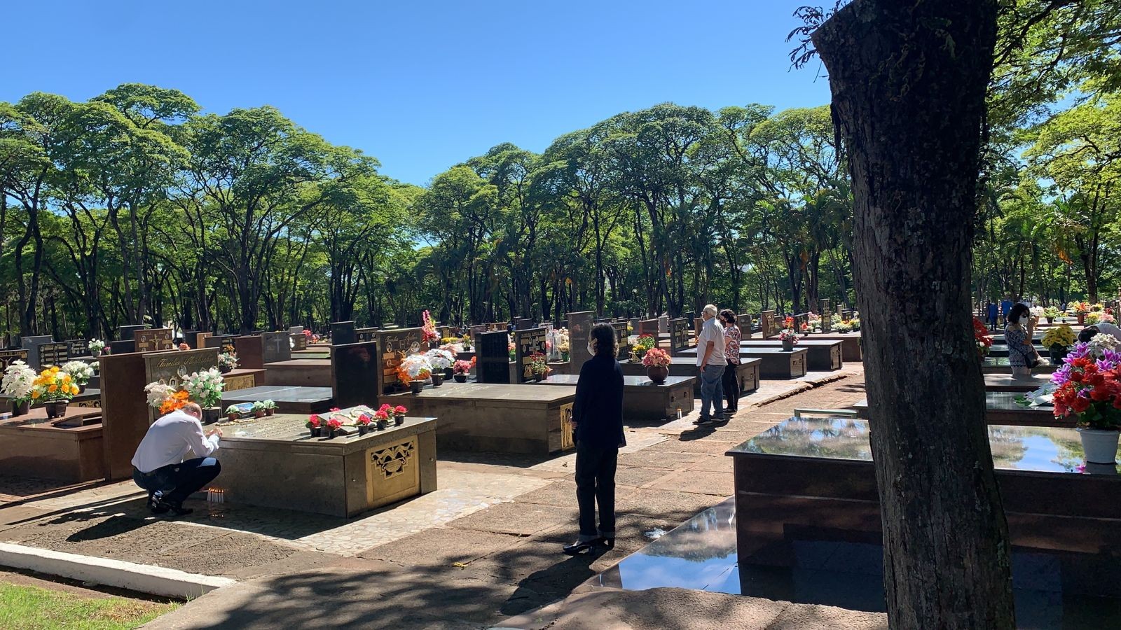 Saudade e emoção no Dia de Finados em Maringá