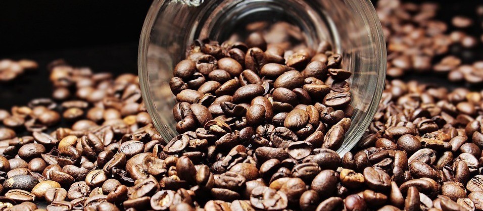 Café em coco custa R$ 6,80 kg na região de Jacarezinho