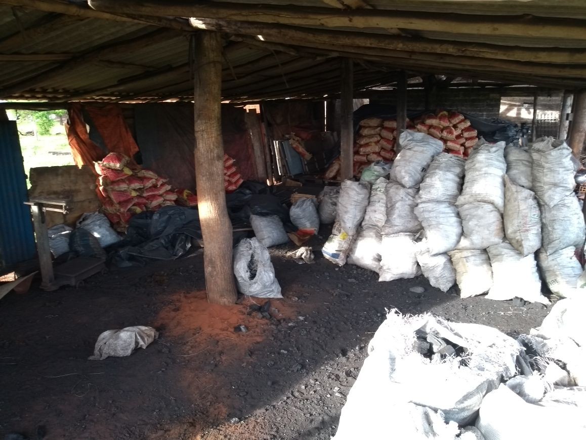 Polícia Ambiental apreende fornos de carvão vegetal