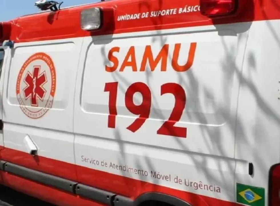 Cão da raça pitbull ataca criança e deixa outras duas pessoas feridas em Maringá