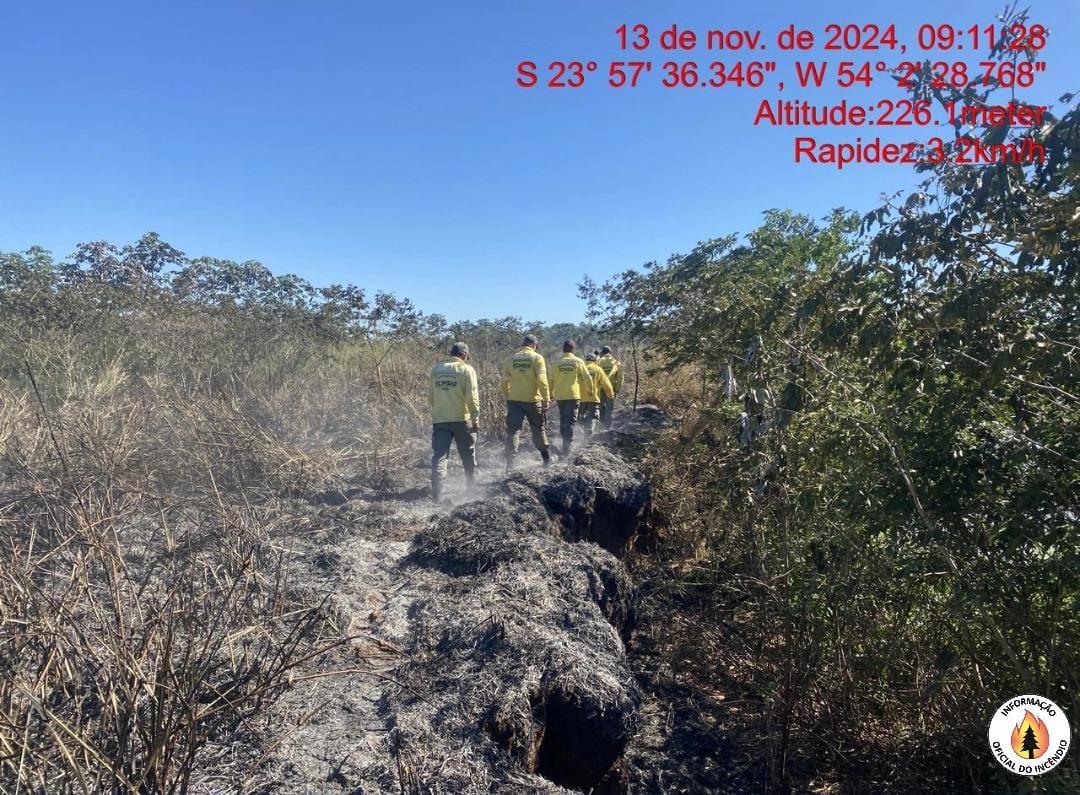 Incêndio atinge ilha onde não havia registro de fogo há 20 anos