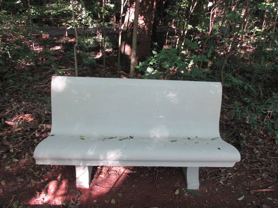 Pintura em obras do Parque do Ingá gera desconforto entre artista e poder público