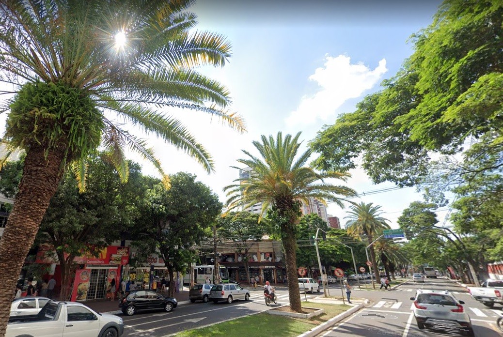 ‘Floresta urbana’ de Maringá cria identidade visual e chama atenção pela beleza