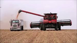 Neve nos EUA atrasa colheita de grãos