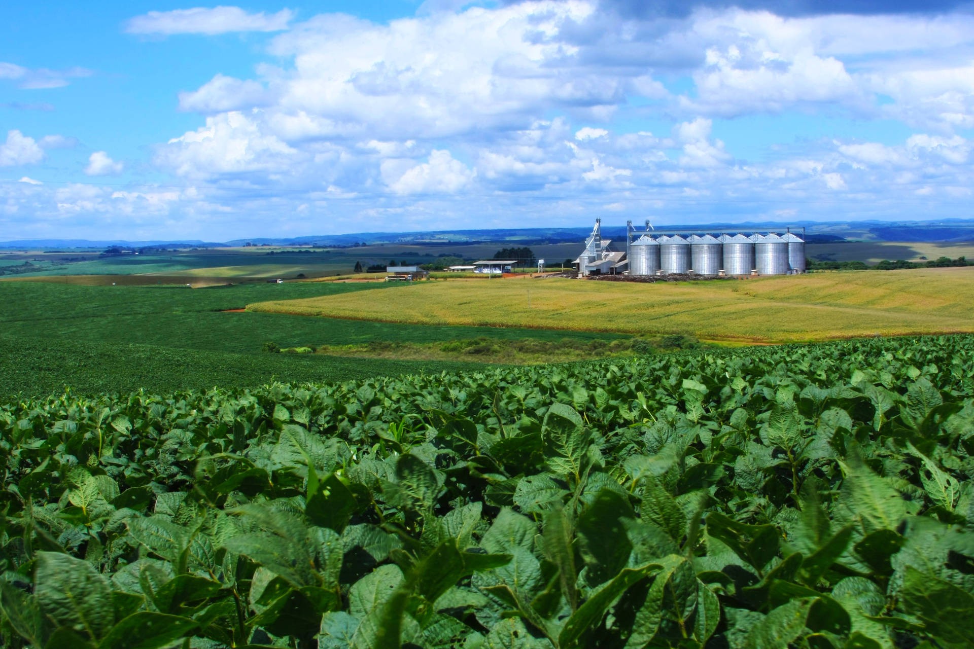 Plano Agrícola e Pecuário 2018 terá R$ 194 bi