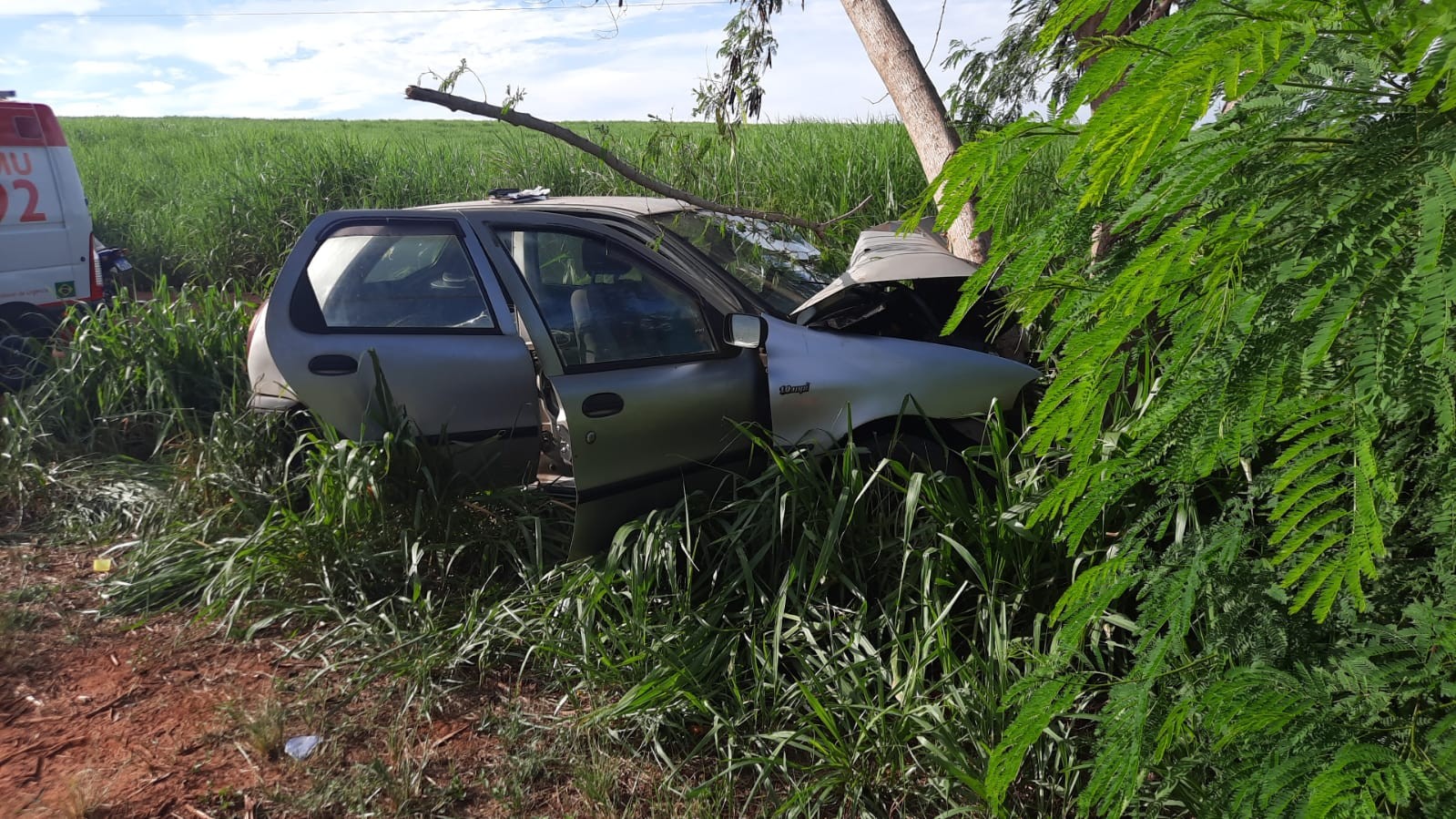 Condutor morre após bater carro contra árvore na PR-542
