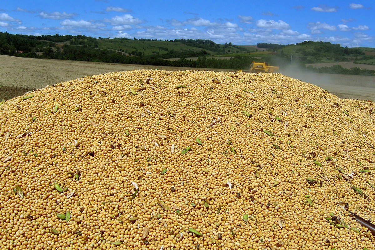Greve dos caminhoneiros prejudica comercialização de produtos agrícolas