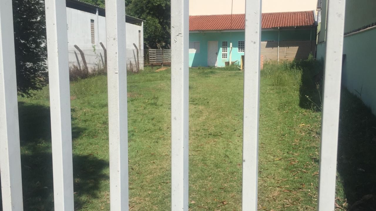 Agentes da Secretaria de Meio Ambiente e Bem-Estar Animal resgatam gatos abandonados