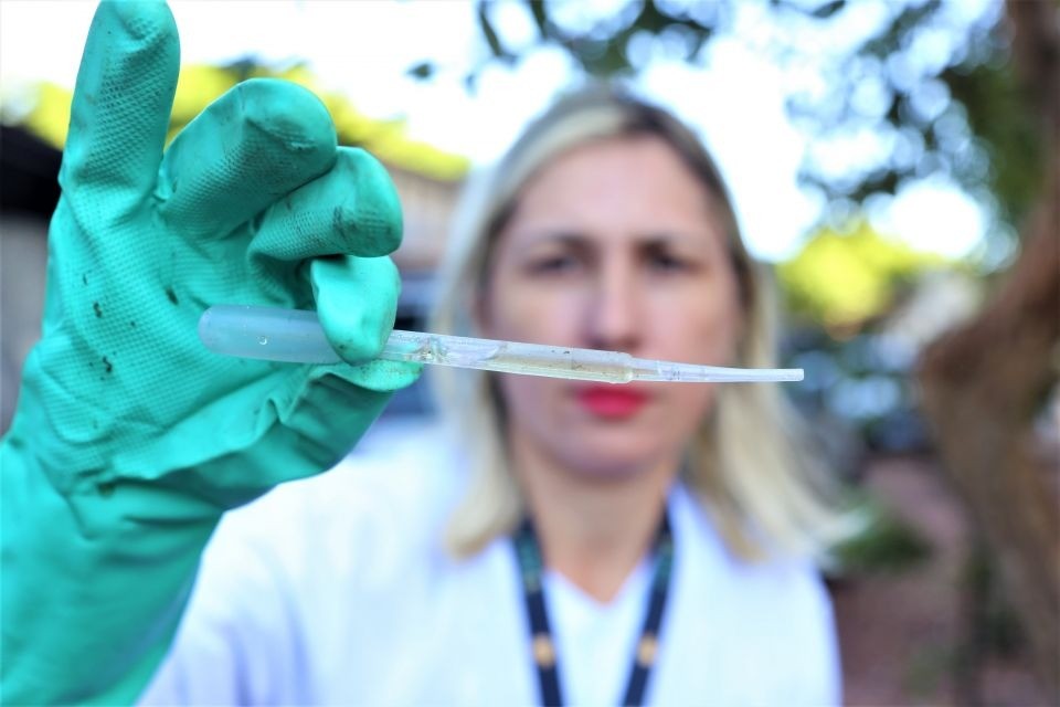 Saiba como usar o repelente para prevenir a dengue