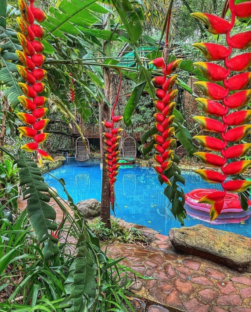 Maringá e região: 3 lugares para recarregar as energias em contato com a natureza