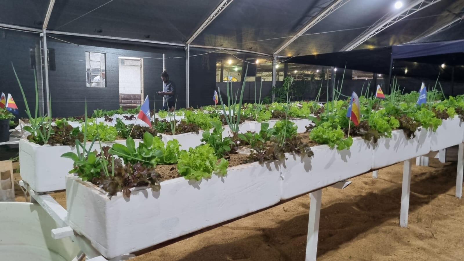 No Agromuseu é possível aprender a ter uma horta em casa