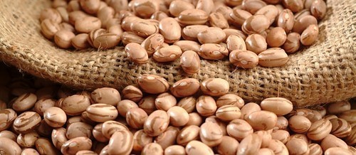 Feijão carioca custa R$ 200 a saca em Umuarama