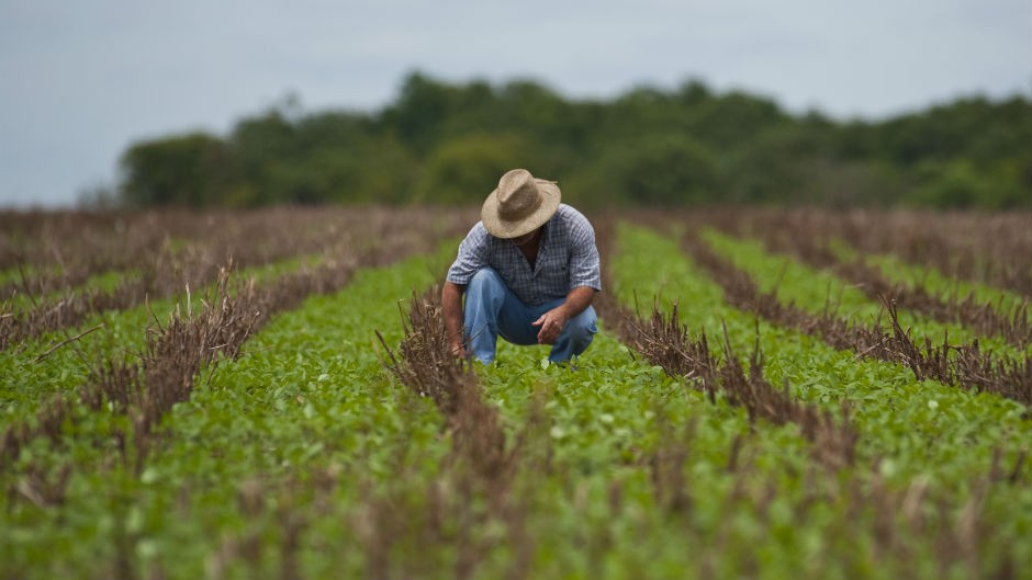 “Engenharia agronômica é uma profissão do futuro”