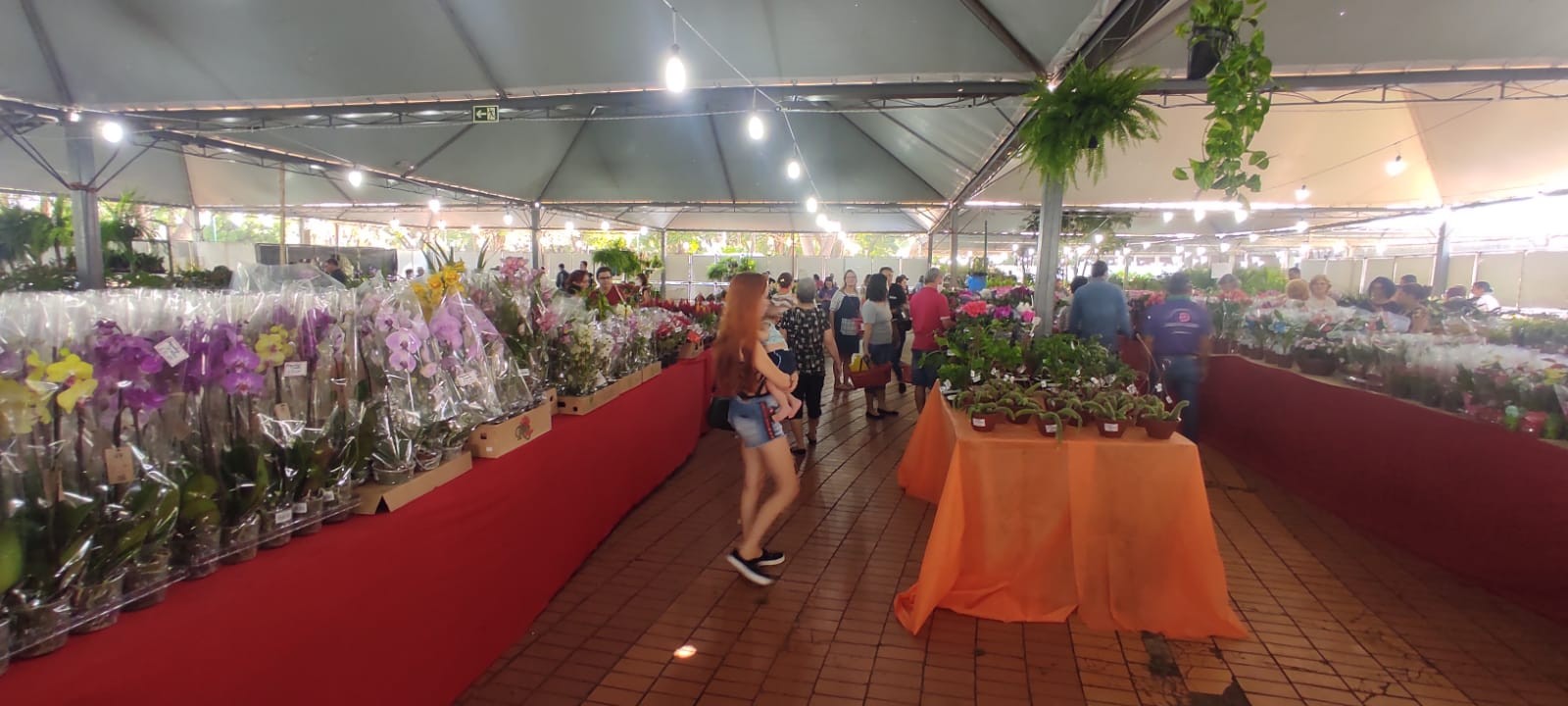 Feira comercializa mais de 130 espécies de flores em Maringá
