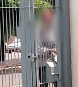 Ladrão é flagrado furtando fiação de casa e poste de Maringá; vídeo